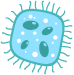bacterias biofetilizantes